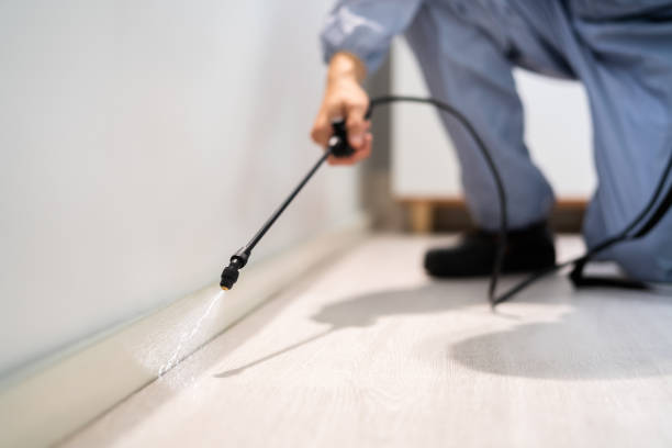 Certified termite inspector examining foundation in Williams Bay